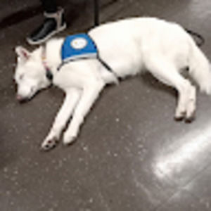 Meet your Posher, Reginald